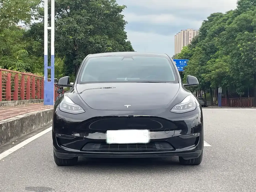 Tesla Model Y — фото 2
