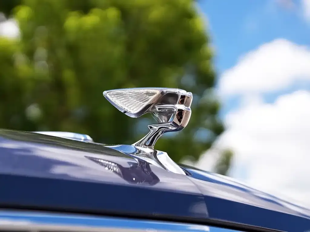 Bentley Flying Spur — фото 8