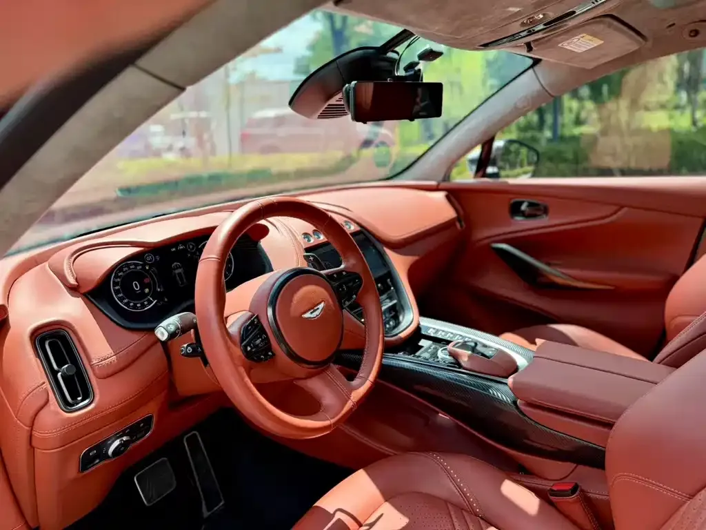 Aston Martin DBX 2023 из CN, фото 5