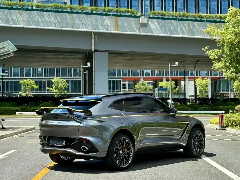 Aston Martin DBX 2023 из CN, фото 7