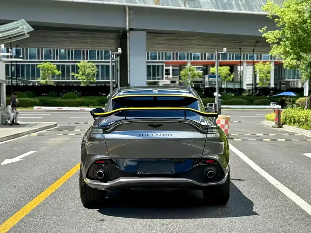 Aston Martin DBX 2023 из CN, фото 8