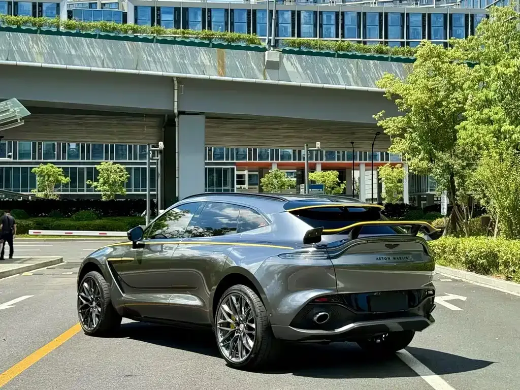 Aston Martin DBX 2023 из CN, фото 9