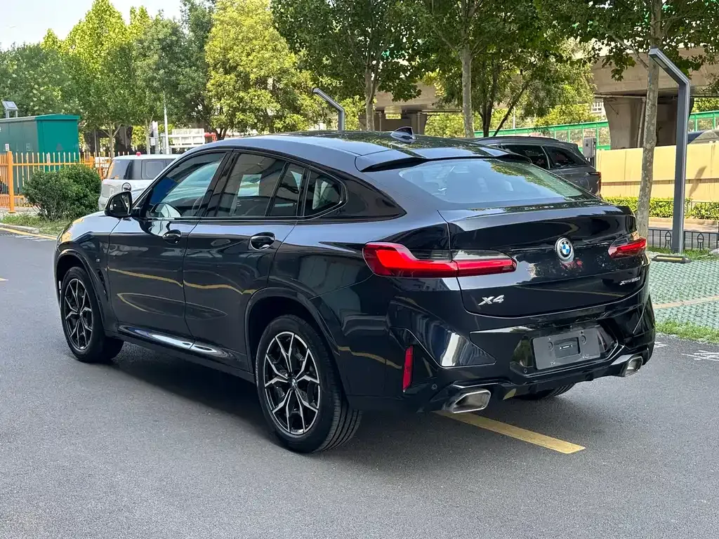 BMW X4 — фото 6