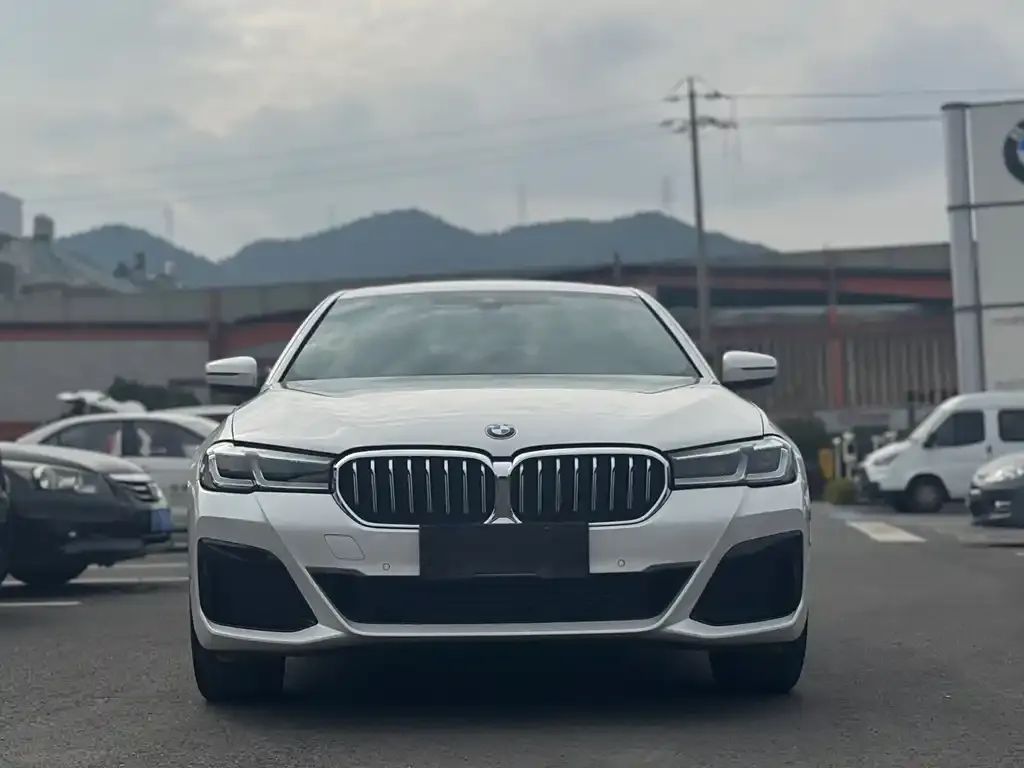 BMW 5 Series — фото 1