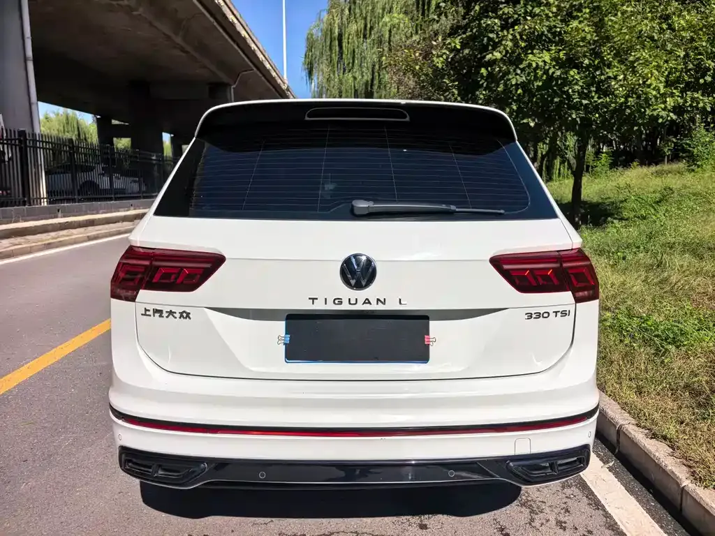 Volkswagen Tiguan L 2023 из CN, фото 6