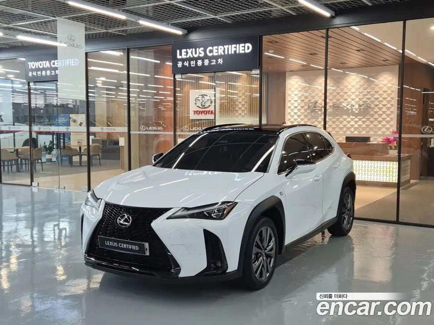 Lexus UX 2025 из KR, фото 1
