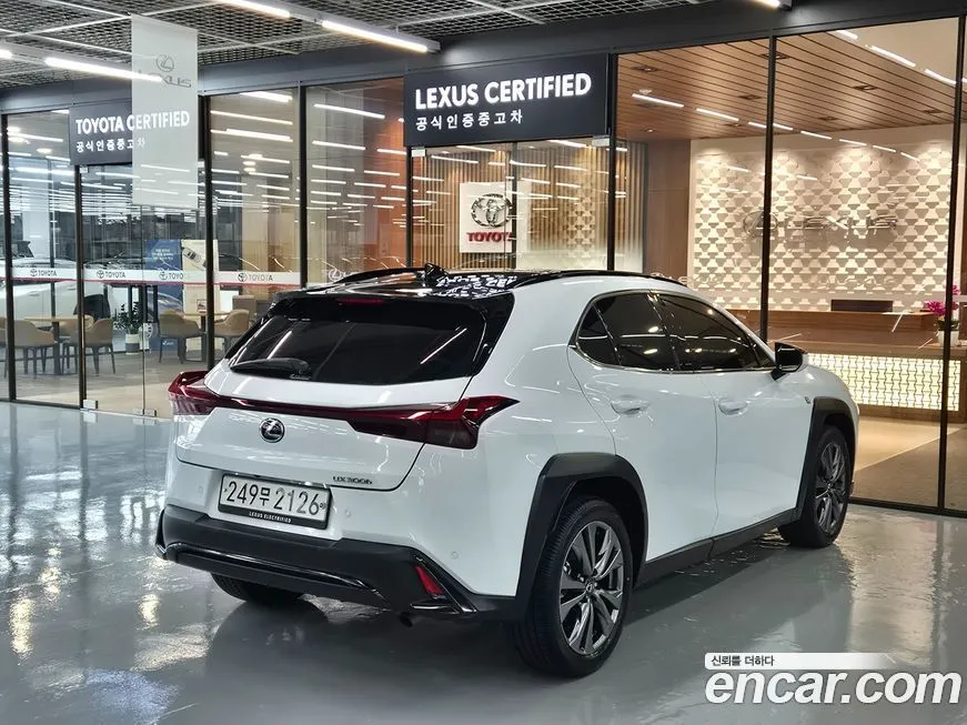 Lexus UX 2025 из KR, фото 2