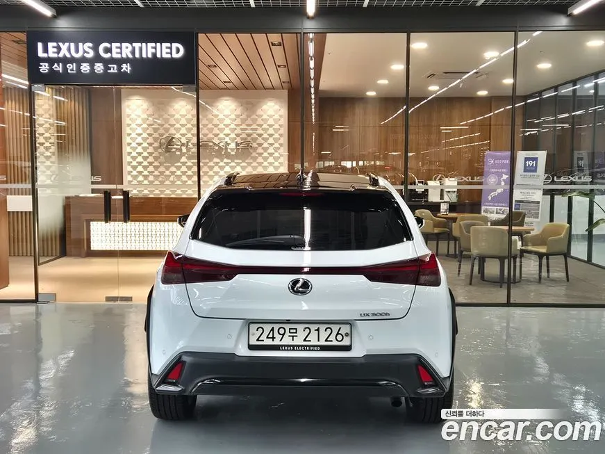 Lexus UX 2025 из KR, фото 4
