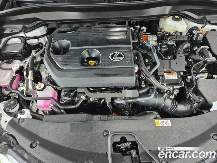 Lexus UX 2025 из KR, фото 6