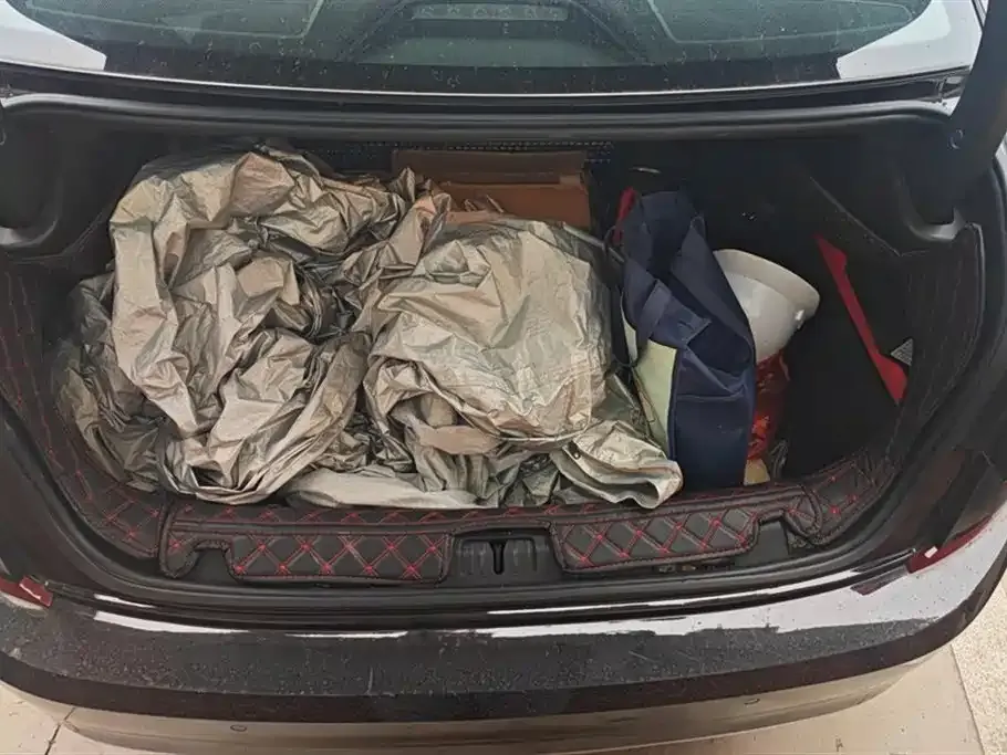 Volkswagen Passat 2024 из CN, фото 4