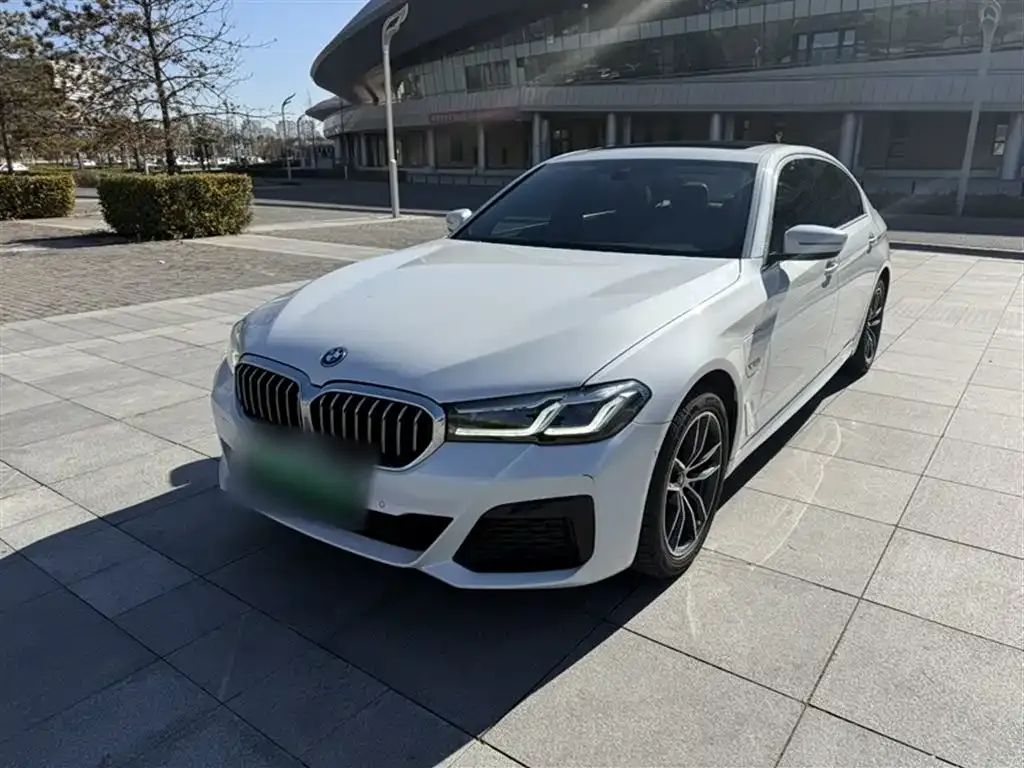 BMW 5 Series New Energy 2021 из CN, фото 2
