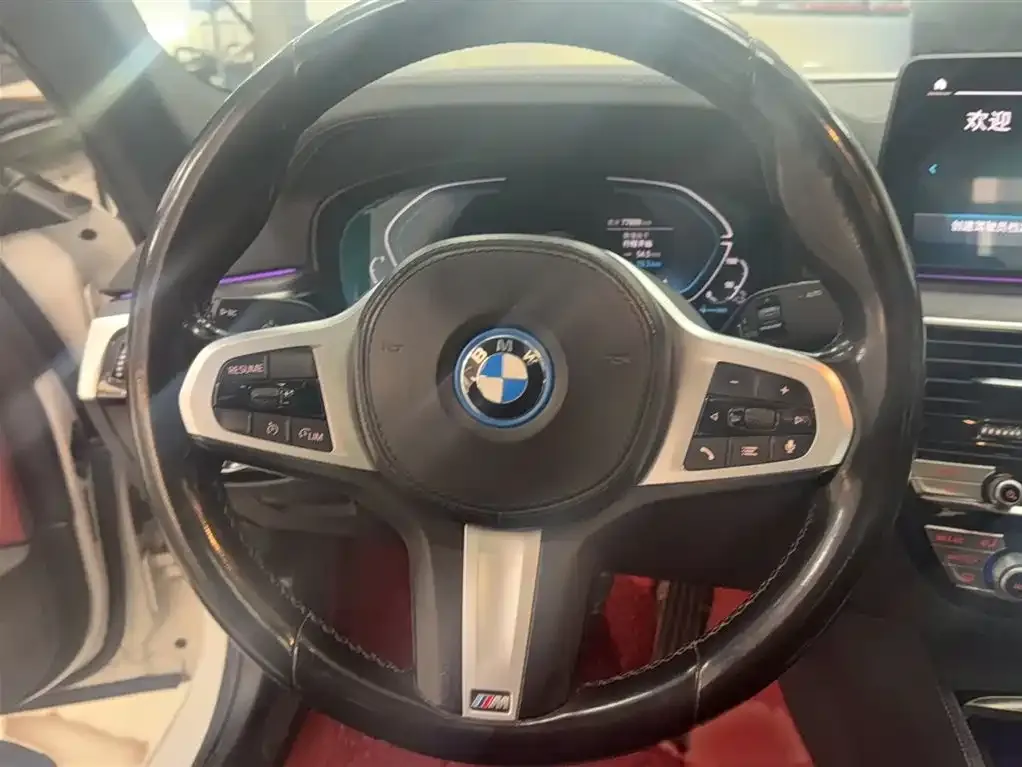 BMW 5 Series New Energy 2021 из CN, фото 4