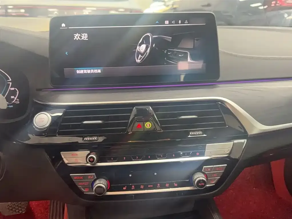 BMW 5 Series New Energy 2021 из CN, фото 7