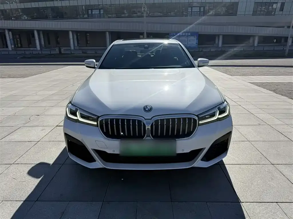 BMW 5 Series New Energy 2021 из CN, фото 8