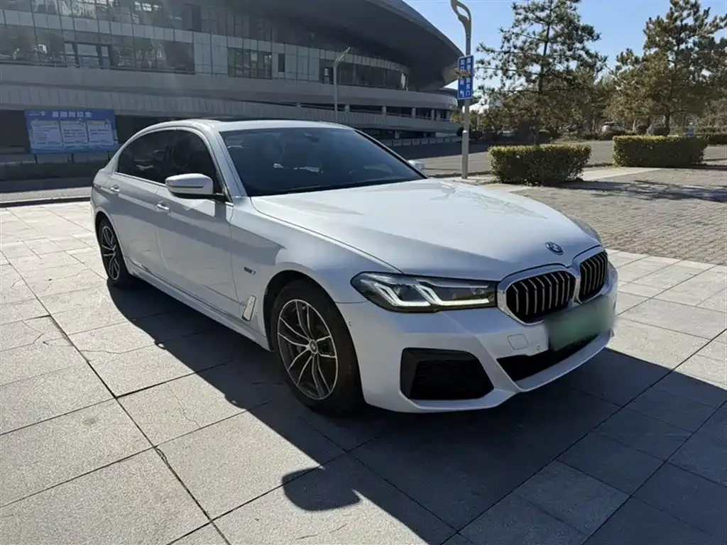 BMW 5 Series New Energy 2021 из CN, фото 9