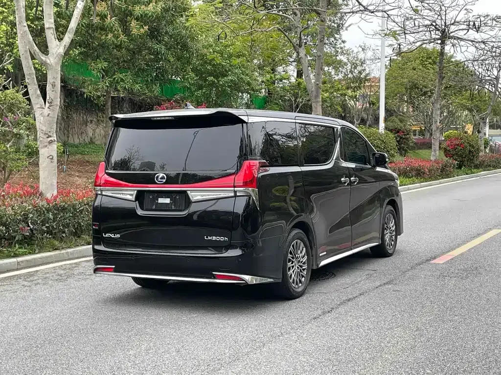 Lexus LM 2022 из CN, фото 4