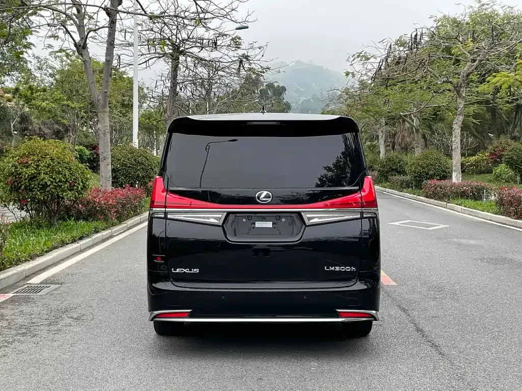 Lexus LM 2022 из CN, фото 5