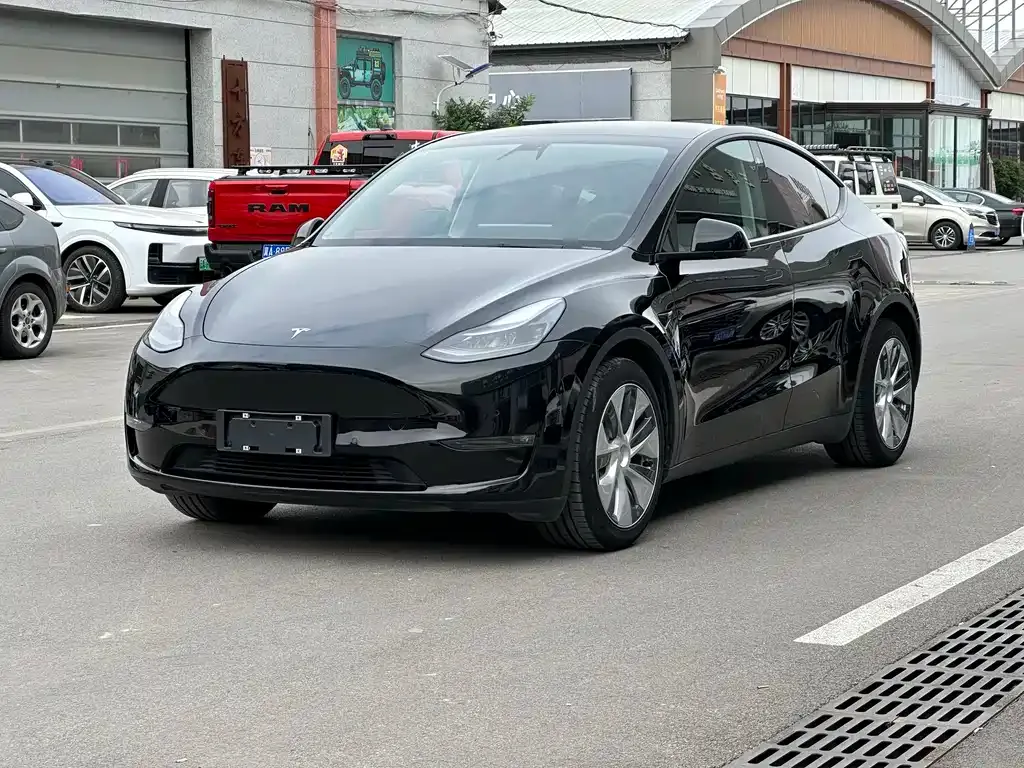 Tesla Model Y — фото 1