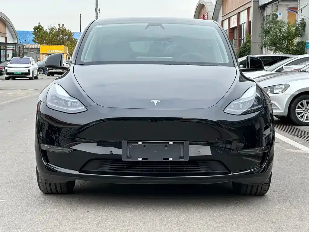 Tesla Model Y — фото 2