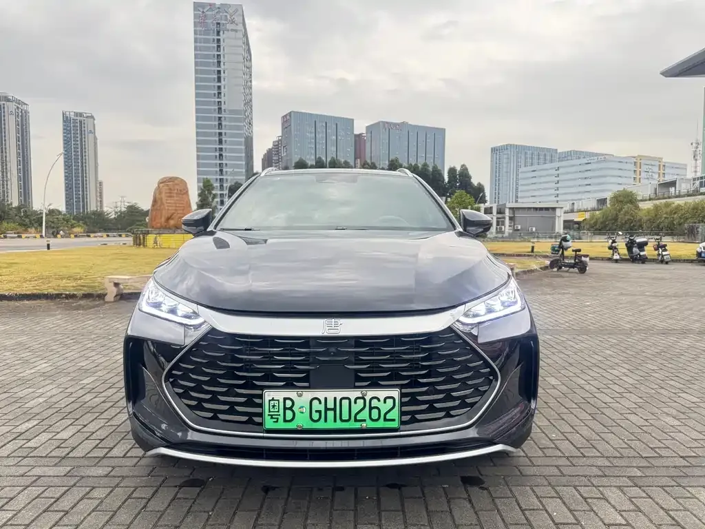 BYD Tang New Energy — фото 2