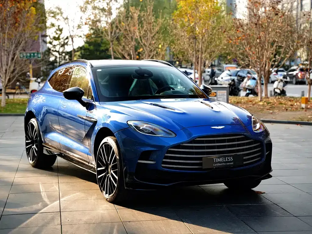 Aston Martin DBX 2025 из CN, фото 1