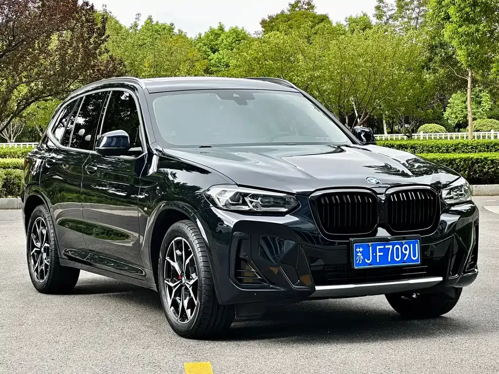 BMW X3 2024 из CN, фото 3