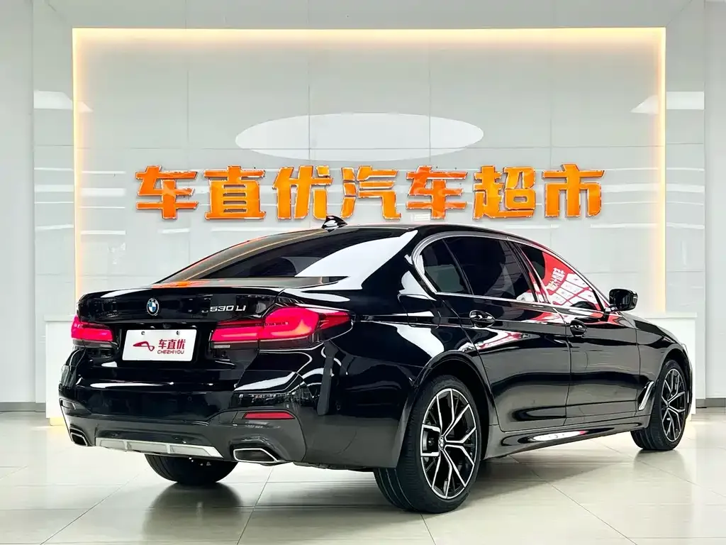 BMW 5 Series 2023 из CN, фото 5