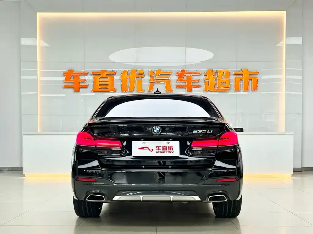 BMW 5 Series 2023 из CN, фото 6