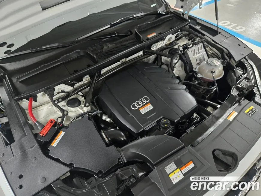 Audi Q5 2023 из KR, фото 5