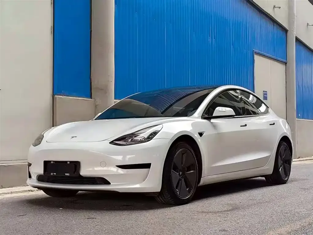 Tesla Model 3 2021 из CN, фото 1