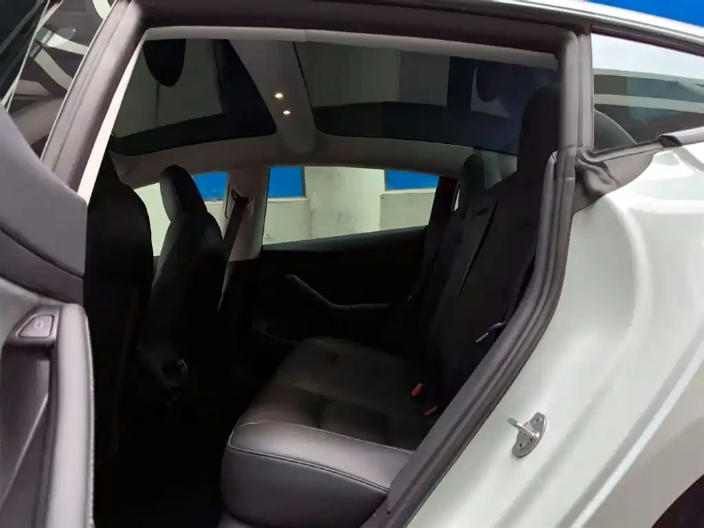 Tesla Model 3 2021 из CN, фото 10