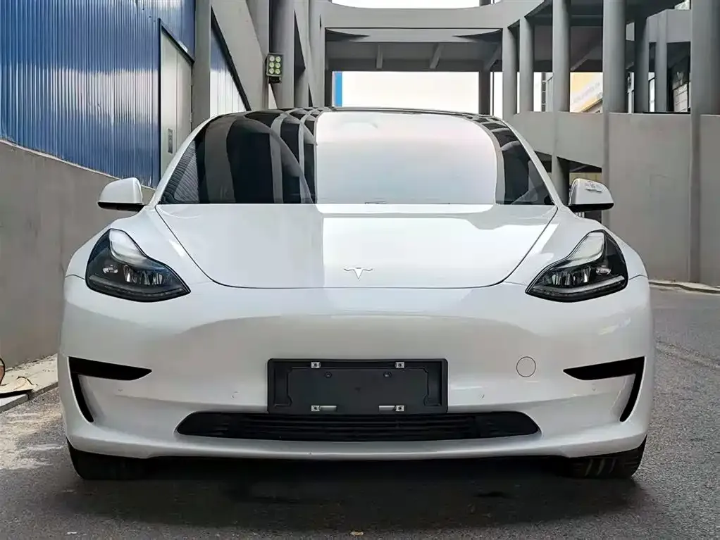 Tesla Model 3 2021 из CN, фото 2