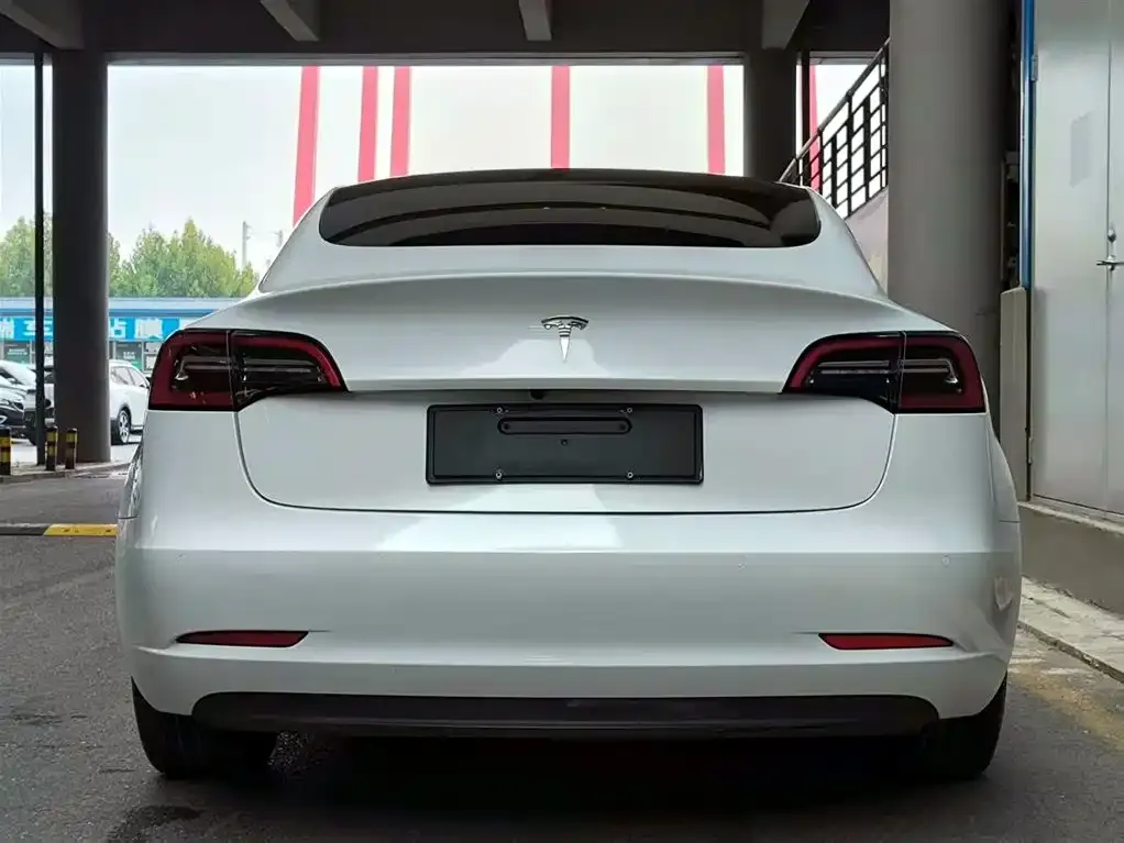 Tesla Model 3 2021 из CN, фото 4