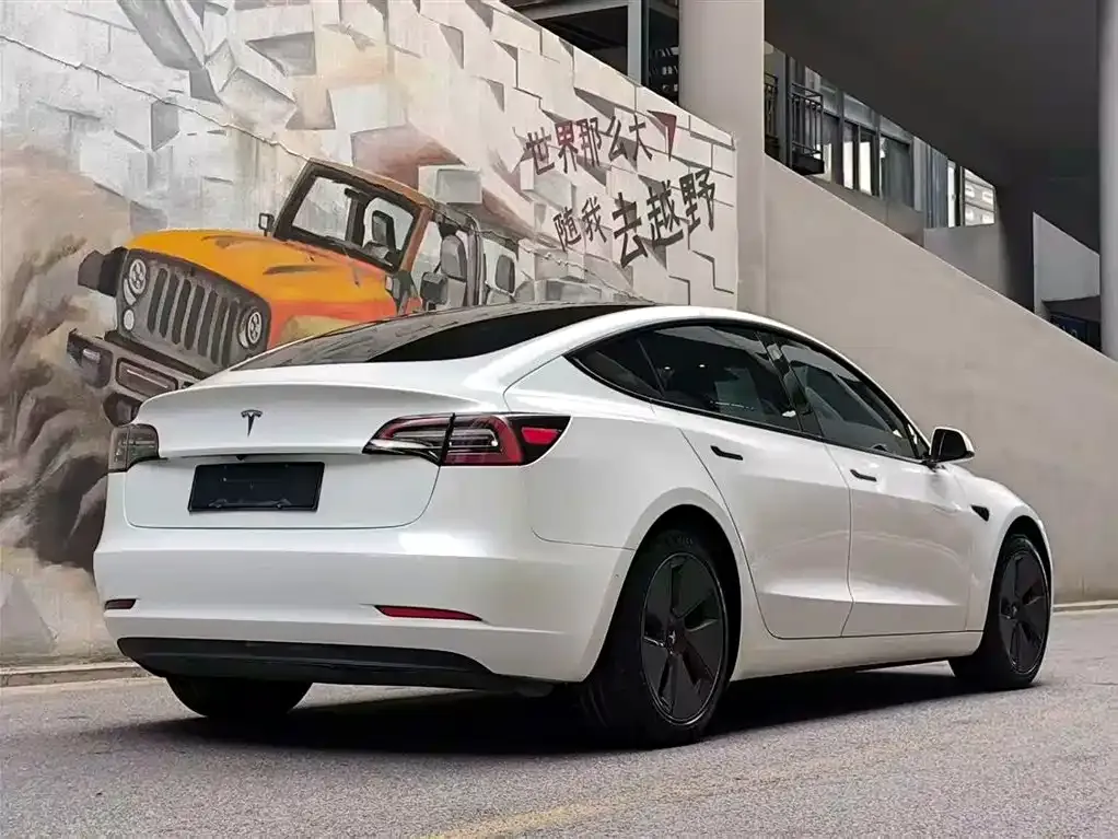 Tesla Model 3 2021 из CN, фото 5
