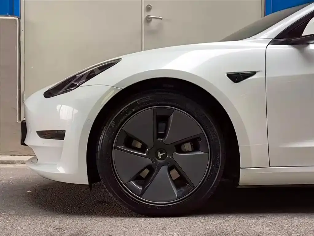 Tesla Model 3 2021 из CN, фото 6
