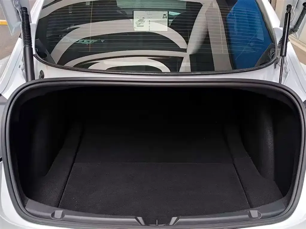 Tesla Model 3 2021 из CN, фото 8