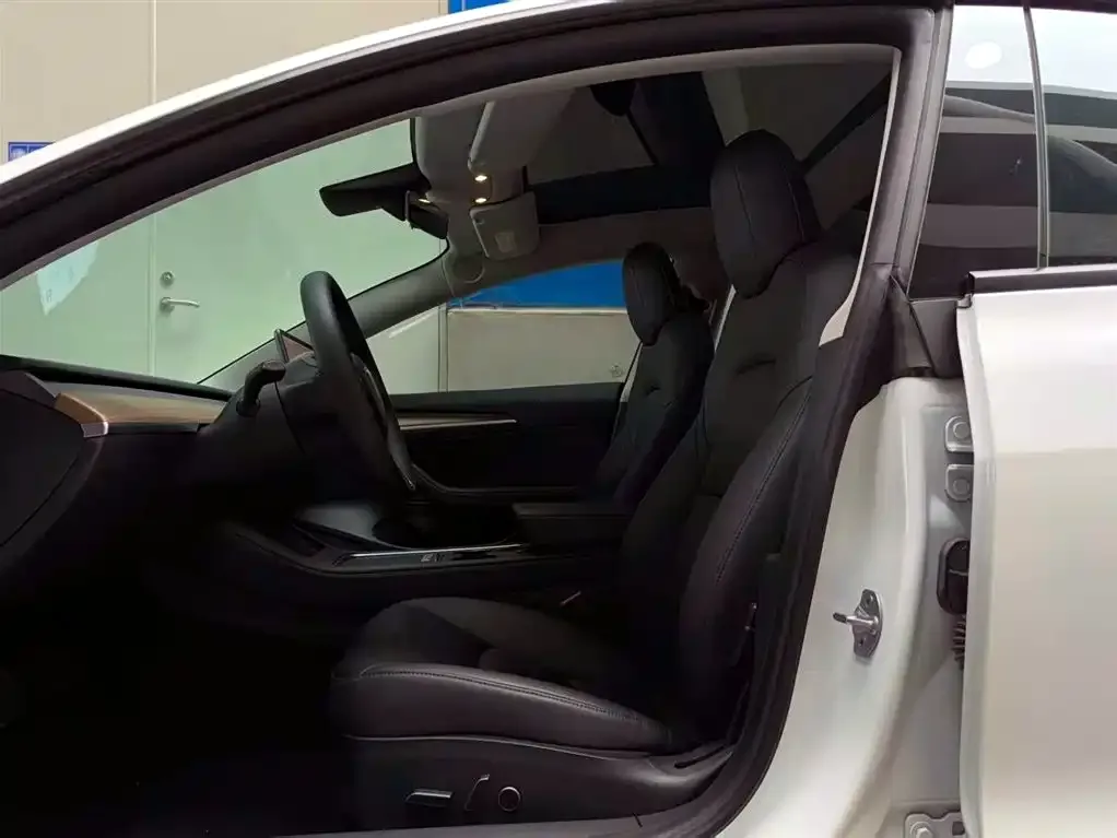 Tesla Model 3 2021 из CN, фото 9