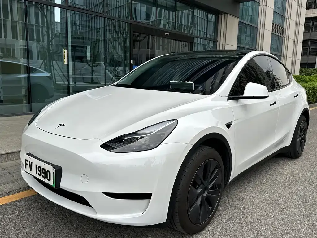 Tesla Model Y 2024 из CN, фото 1