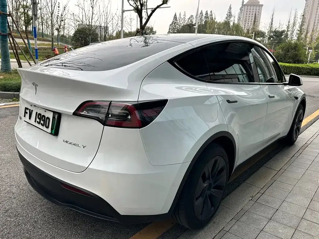 Tesla Model Y 2024 из CN, фото 6