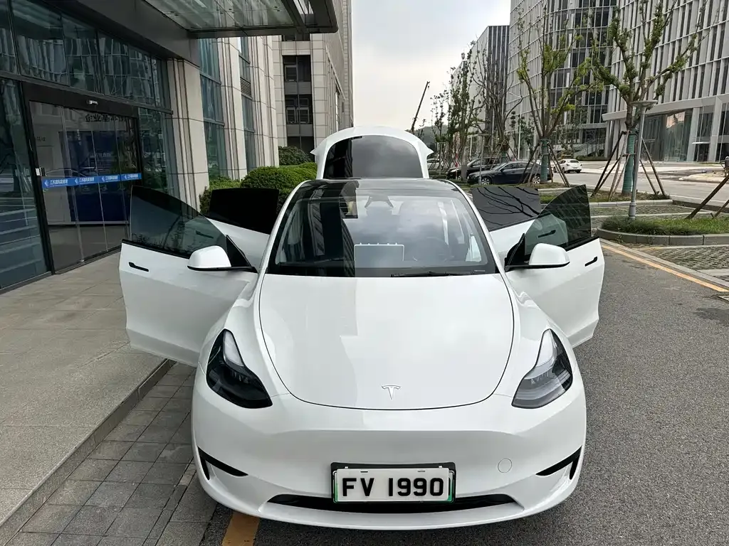 Tesla Model Y 2024 из CN, фото 8