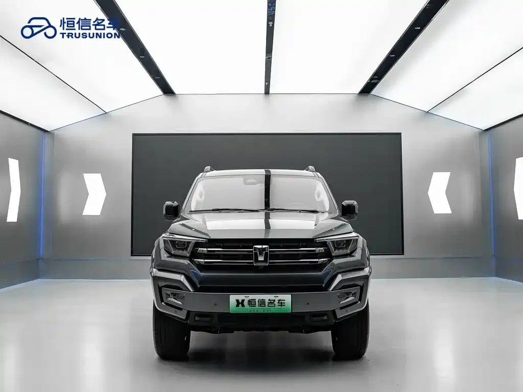 Tank 400 New Energy 2025 из CN, фото 2