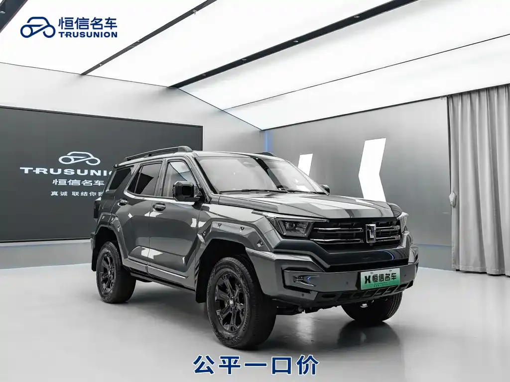 Tank 400 New Energy 2025 из CN, фото 3