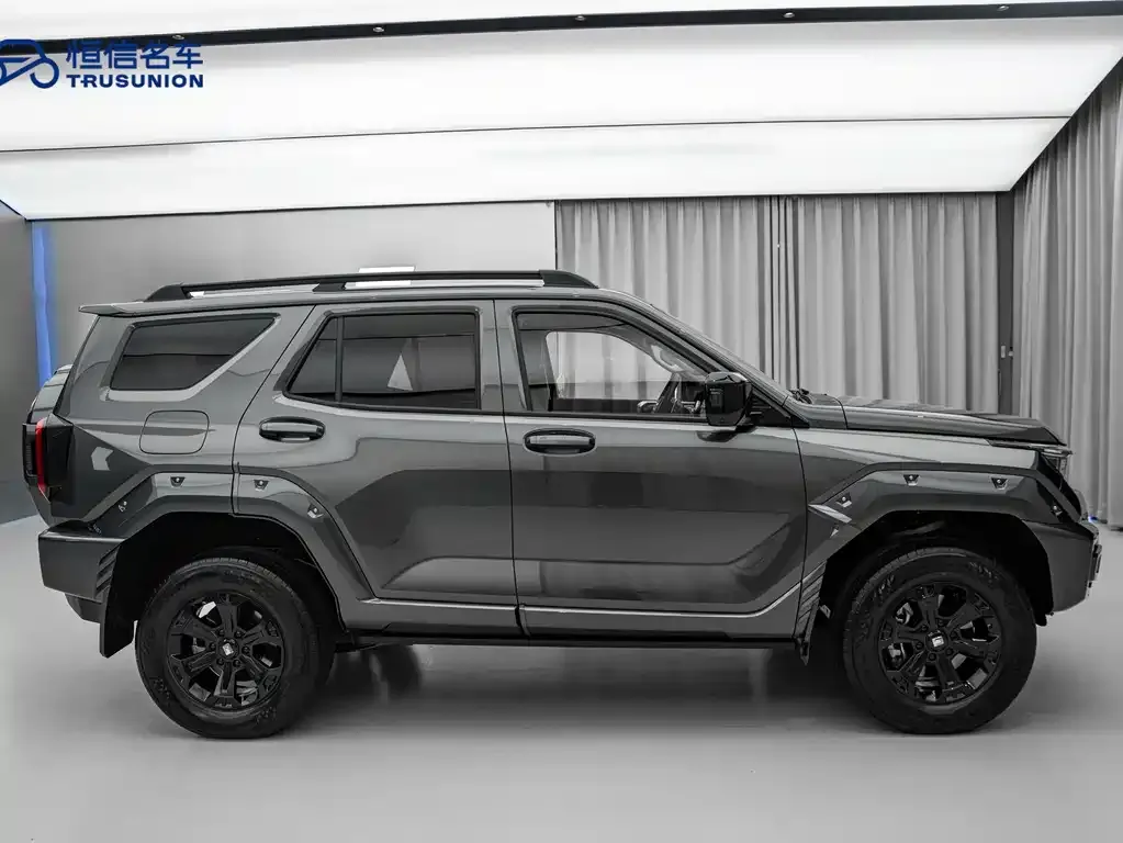 Tank 400 New Energy 2025 из CN, фото 7