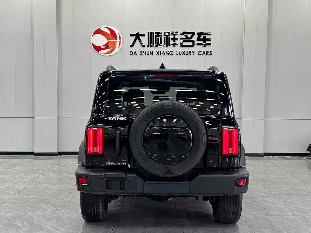 [object Object] Tank 300 2022 из CN, фото 4