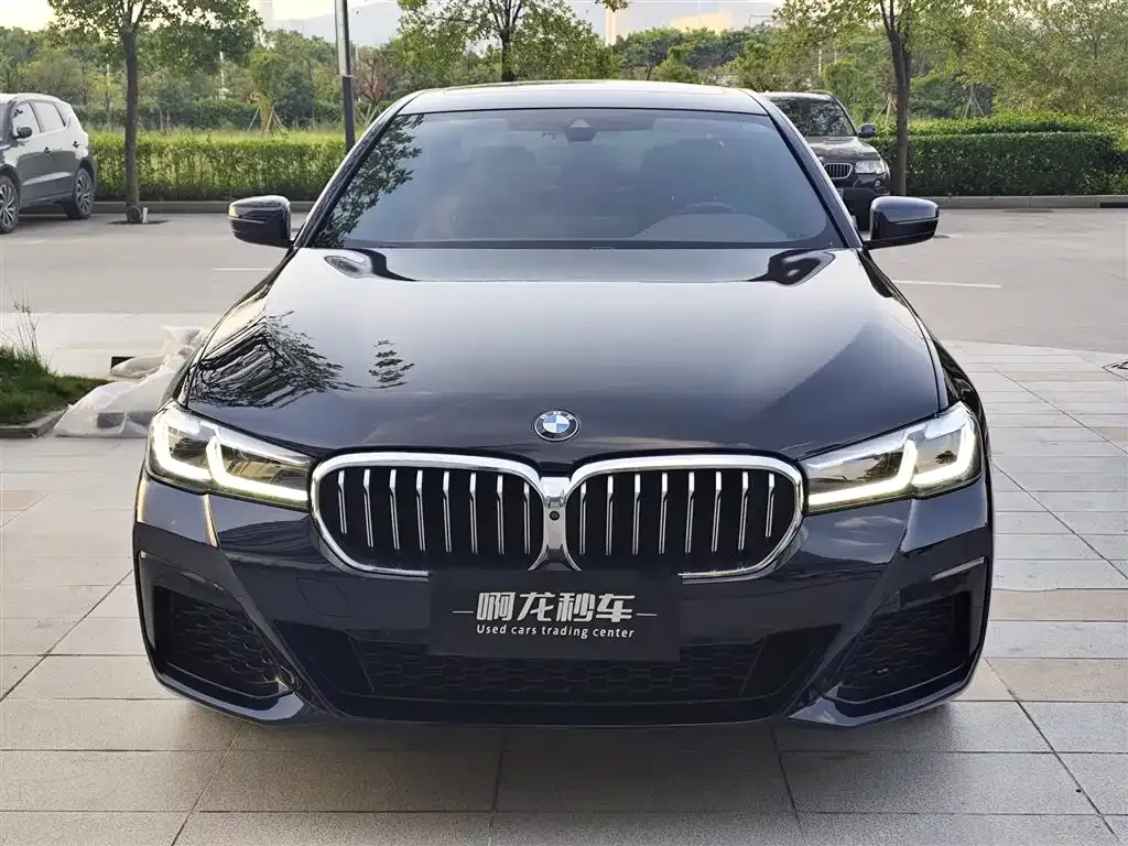 BMW 5 Series 2023 из CN, фото 2