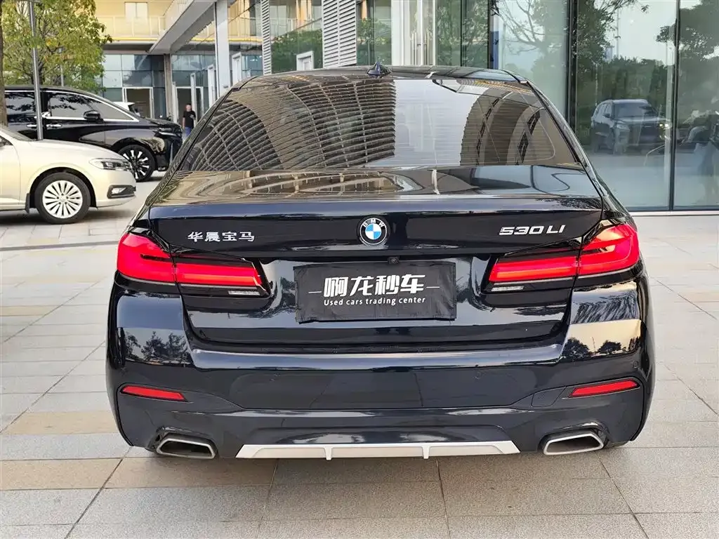 BMW 5 Series 2023 из CN, фото 8