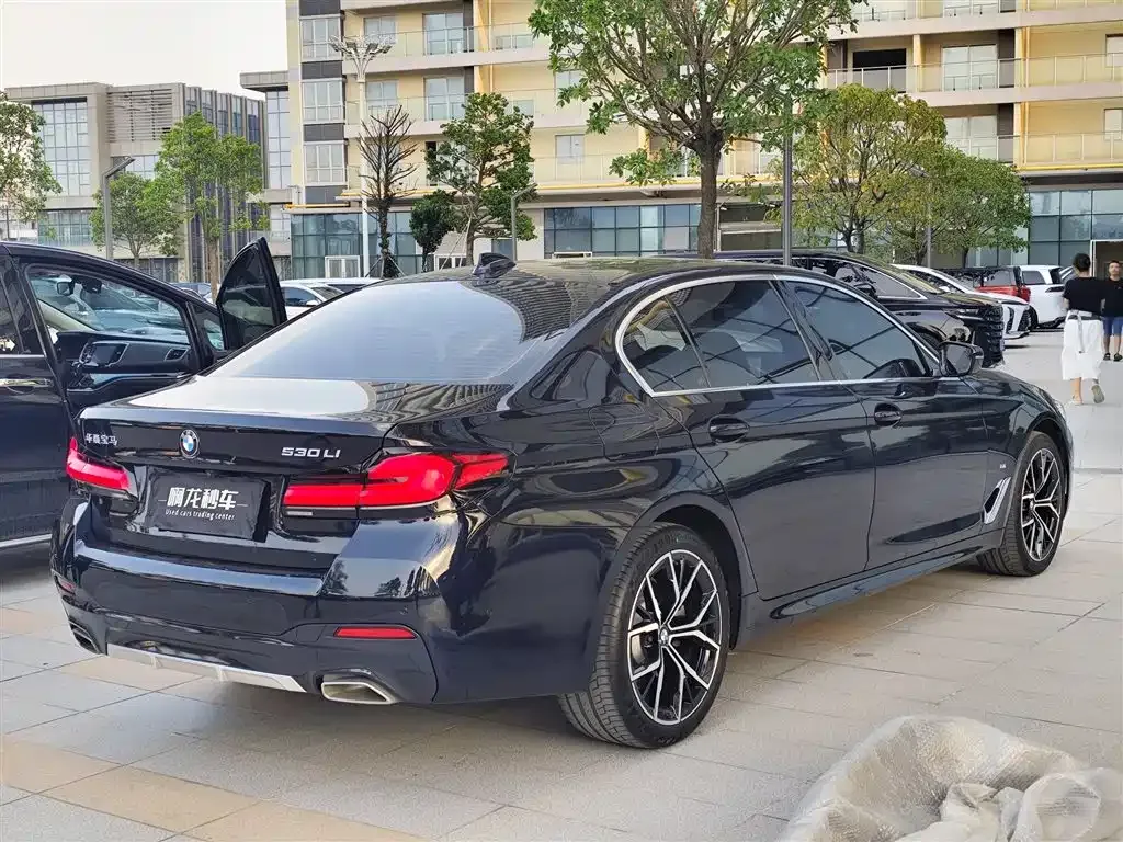 BMW 5 Series 2023 из CN, фото 9