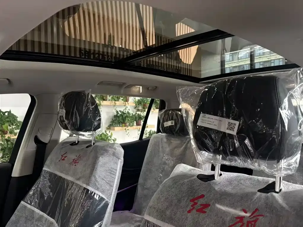 Hongqi HS7 PHEV 2025 из CN, фото 10