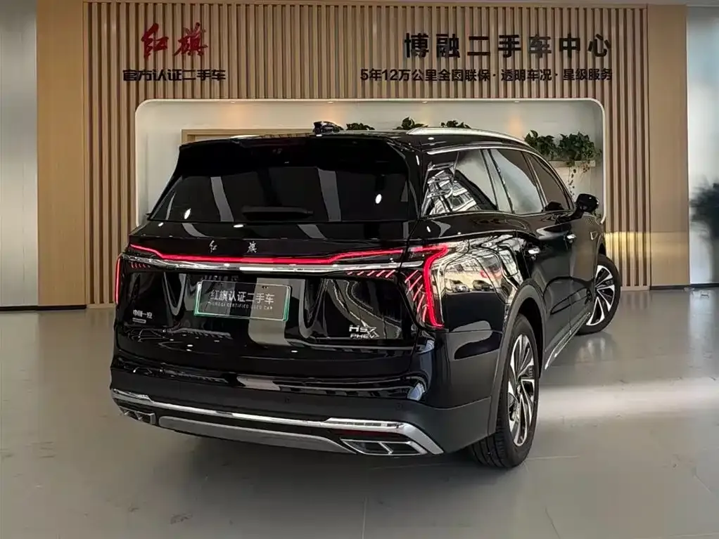 Hongqi HS7 PHEV 2025 из CN, фото 3