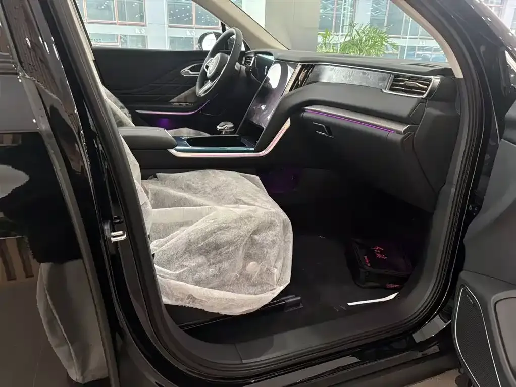 Hongqi HS7 PHEV 2025 из CN, фото 6